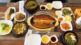 장수장어