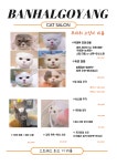 무마취고양이미용실반할고양