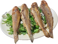 맛나포차 일산라페스타 본점