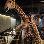 교대술집 오늘은맥주
