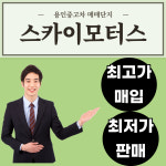 스카이모터스자동차매매상사