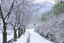 하늘과땅사이힐링스테이