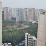 파크힐공인중개사사무소