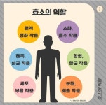 유니베라 대전스타대리점