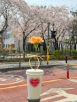 꽃가풍