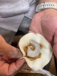 빙화설지92만두