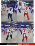 경희대장안태권도
