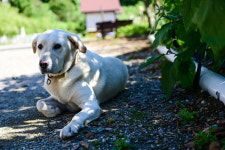 하늘과땅사이힐링스테이