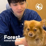숲동물병원 펫스테이션지점