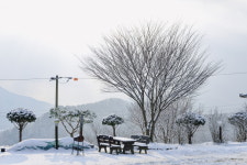 하늘과땅사이힐링스테이