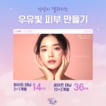 브이탠