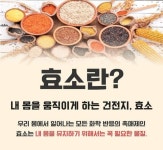 유니베라신당산대리점 | 유니베라 대전스타대리점