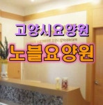 노블케어 요양원