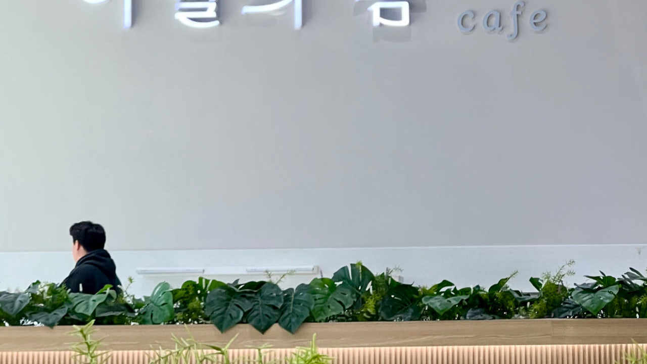 이월의 봄