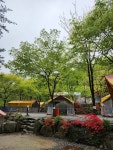 유명산라온캠핑장
