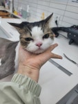 함께냥 전주점