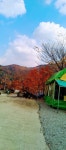 유명산라온캠핑장
