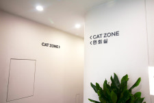 24시 이오동물병원