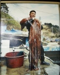 이수사