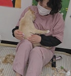 고양이미용실 그냥