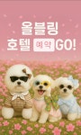 올블링 펫부티끄 & 애견호텔