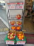 과일야채진마트