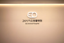 24시 이오동물병원
