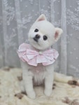 벨라펫샵
