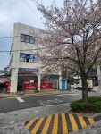 이번생엔복권