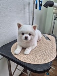 두리멍실