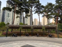 탑스타보림합기도남문관