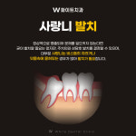 W화이트치과의원