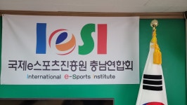 국제e스포츠진흥원 충남연합회