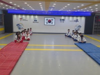 용인대 국가대표 해들 태권도