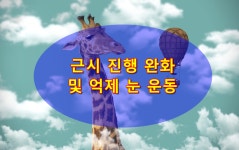 아이리스안경원