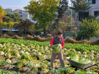 신가예촌
