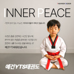 예건YTS태권도