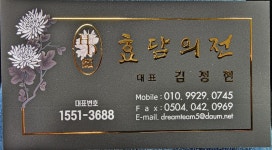 효담의전