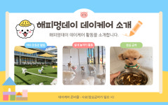 해피멍데이 강아지유치원 애견유치원