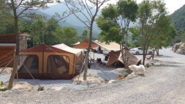 비로오토파크캠핑&펜션