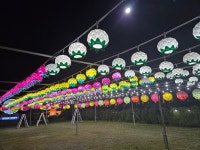 대한불교천태종의정부정화사