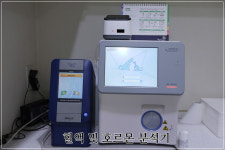 평생피부과동물병원