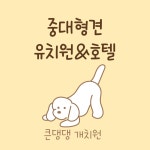 큰댕댕개치원 중대형견 애견호텔&유치원