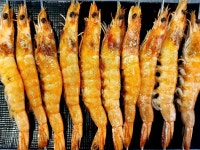 우성마라탕과 양꼬치