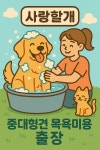 사랑할개