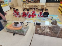천안젤라유치원