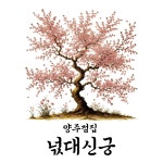 꽃청사 초롱아씨