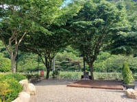 숲스토리야영장