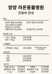 라온동물병원