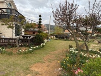 천리포전망좋은펜션